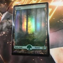 MTG 森　褒賞プログラム　foilのサムネイル