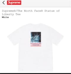 Supreme /The North Face Liberty Teeのサムネイル