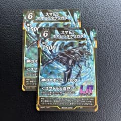 スマトラオオヒラタクワガタ LR 2枚 蟲神器 虫神器 第7弾 - メルカリ