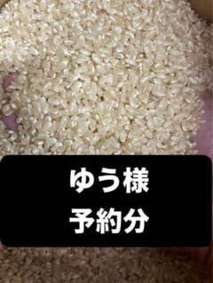 ゆう様　予約分　魚沼新紙袋のサムネイル