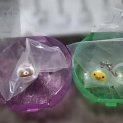 リラックマ うみりらきぶん マーカーアクセサリー 2種セットのサムネイル