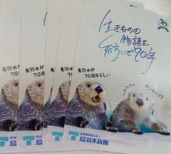 鳥羽水族館 70周年 ラッコ　チラシ　フライヤー　キラ　メイ　 ポスター　鳥羽水のサムネイル