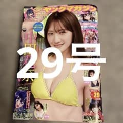 最新号】週刊ヤングマガジン 29号 - メルカリ