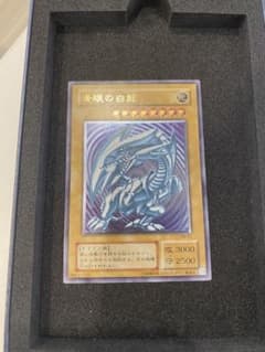 も*じ様 1軍コレ 美品 ほぼ新品 青艶 青眼の白龍 レリーフ - メルカリ