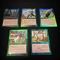 MTG 旧枠Foil・日本語版まとめ 5種5枚 初版 - メルカリ
