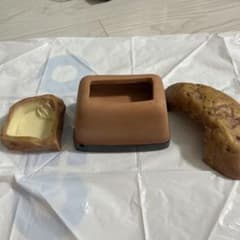 爬虫類　シェルターのサムネイル