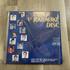498☆pioneer レーザーカラオケシステム LK-800 希少 | Shop at