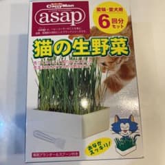 猫草キット　　3回分のサムネイル