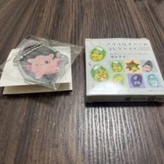 アクリルチャームコレクション 進化の石のサムネイル
