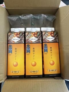 豊潤サジージュース 3本セットのサムネイル