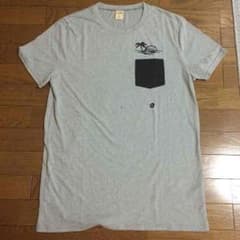 ホリスター Tシャツのサムネイル