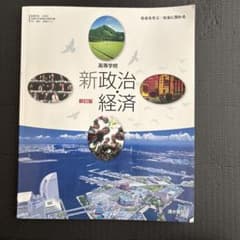 新政治経済 新訂版のサムネイル
