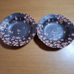 Aito 夜千代 ペアカレー皿 2枚セットのサムネイル