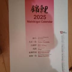 2025 Nishikigoi Calendar 壁掛けカレンダーのサムネイル
