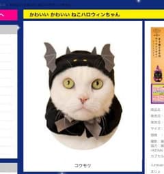 ねこハロウィンちゃん ねこ ハロウィン 新品 未使用 コウモリのサムネイル