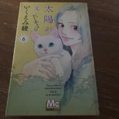太陽が見ている⓺ いくえみ綾のサムネイル