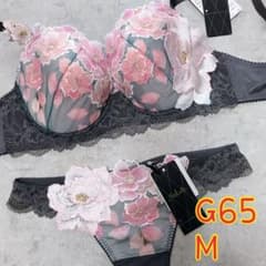 ワコール サルート ブラジャー ショーツ G65 M - メルカリ