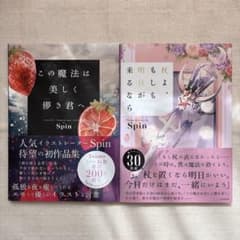 Spin イラスト集 2冊セットのサムネイル