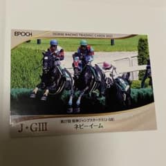 EPOCH 2026 ネビーイーム 第27回 阪神ジャンプステークスのサムネイル