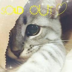 AMIさま専用♡のサムネイル