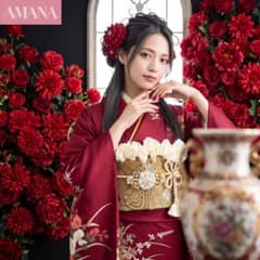 逸品 振袖8点フルセット えんじ色 金駒刺繍 四季花 成人式 前撮り 正絹