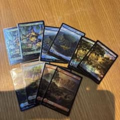 MTG FF チョコボトラックfoil 基本土地カードセット(日本語) - メルカリ
