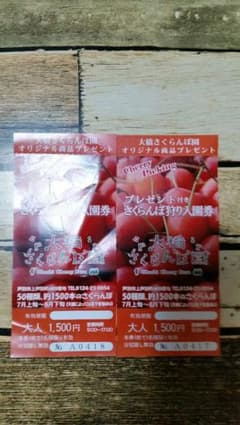 【期間限定値下げ】北海道大橋さくらんぼ園チケットのサムネイル