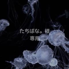 たちばな。様専用のサムネイル