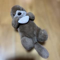 当時物 希少 レア レトロ ラッコ ぬいぐるみ 貝殻付き - メルカリ