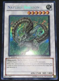 遊戯王 ナチュルパルキオン シークレット 英語 英語版 1st - メルカリ