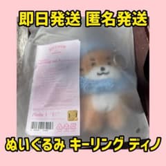 miniteen ICECREAM popup ぬいぐるみ キーリング ディノ - メルカリ
