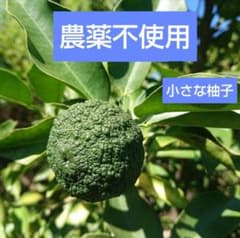 青ゆず小さめふぞろい／農薬不使用のサムネイル