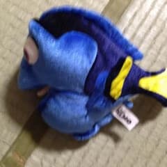 파인딩 돌리 인형