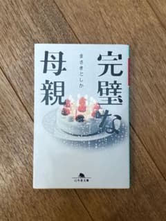 完璧な母親 まさきとしかのサムネイル
