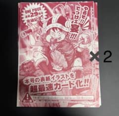 ワンピース 連載29周年記念 表紙イラストカード 2枚セット - メルカリ