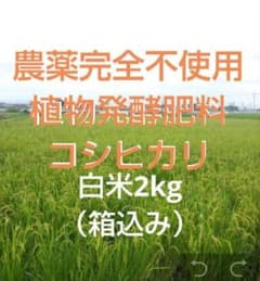 農薬完全不使用/植物発酵肥料 コシヒカリ 白米2kg（箱込み）のサムネイル