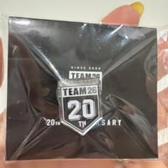 千葉ロッテマリーンズ TEAM26 20th Anniversary ピンバッジ - メルカリ