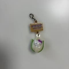 北海道限定 ハローキティ ストラップ(ファスナー) 北海道限定 ご当地キティ釧路湿原 ファスナーマスコット 根付