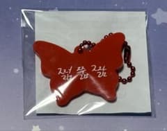 NCT DREAM 드리쇼 4 랜덤 토이 지성 친필 메시지 매력