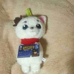 銀魂！！定春のぬいぐるみです。(o^^o)♪のサムネイル