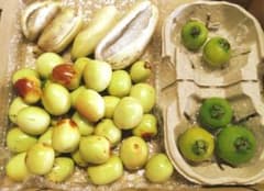は*ー様 長野県産　なつめ＆あけび＆グアバ　詰め合わせのサムネイル