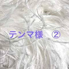 社交ダンス　バングル　フロート　ドレス　スタンダード　ファー　フェザー　まみよんのサムネイル