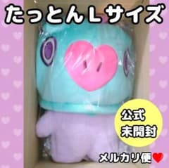 Unopened BT21 official plush toy, large size, MANGBTS J-HOPE (Hobi)