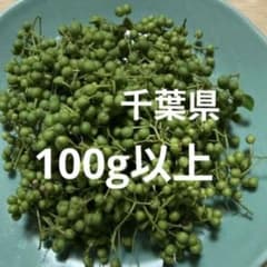 산초의 열매 100g 이상 지바현 ⑤