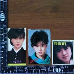 中森明菜さん カード型ステッカー 3枚セット - メルカリ