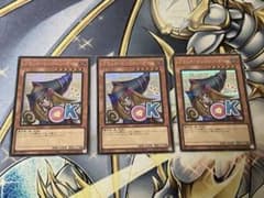 黒猫様 リクエスト 2点 まとめ商品のサムネイル