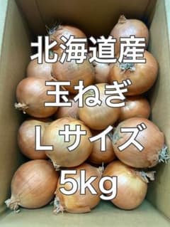 北海道岩見沢産 玉ねぎ Lサイズ 5kgのサムネイル