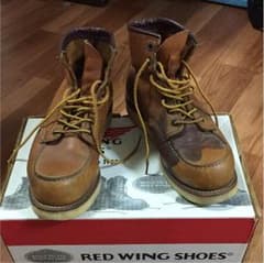 RED  WINGのサムネイル