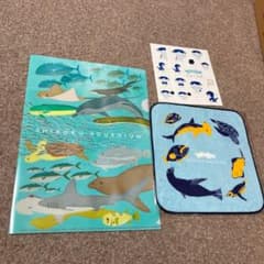 四国水族館　ミニタオル　クリアファイル　シールのサムネイル