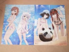 부록 금서 목록 STEINS; GATE 이로하마도 마기 포스터 캘린더